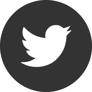 logo twitter